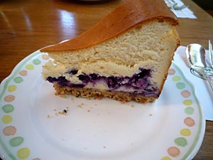 2010-2-12.jpg