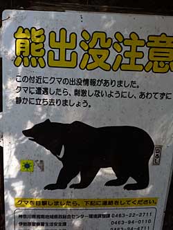 2014ooyama10.jpg