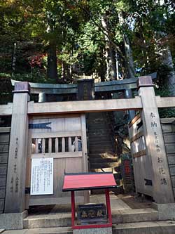 2014ooyama16.jpg