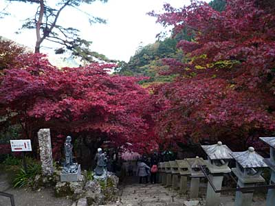 2014ooyama22.jpg