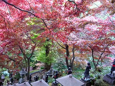 2014ooyama23.jpg