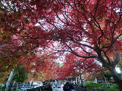 2014ooyama24.jpg