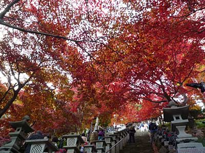 2014ooyama25.jpg