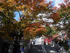 2014ooyama3.jpg