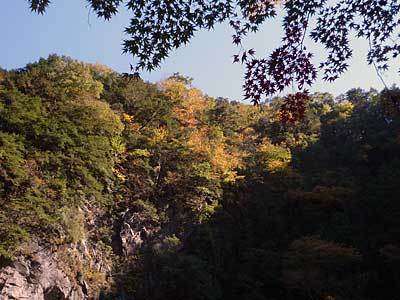 2015hatonosu5.jpg