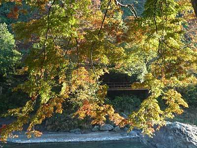 2015mitake2.jpg