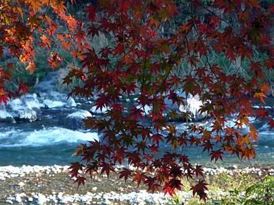 2015mitake3.jpg