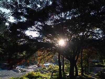 2015mitake5.jpg
