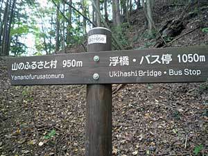 2015okutamako16.jpg