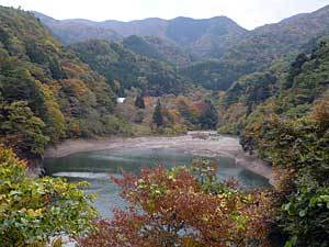 2015okutamako20.jpg