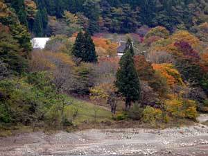 2015okutamako21.jpg