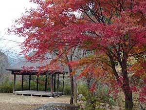2015okutamako37.jpg