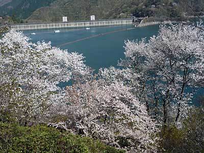 2015okutamako418-17.jpg