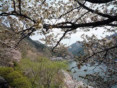2015okutamako418-5.jpg