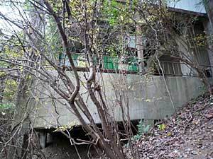 2015okutamako50.jpg