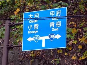 2015okutamako57.jpg