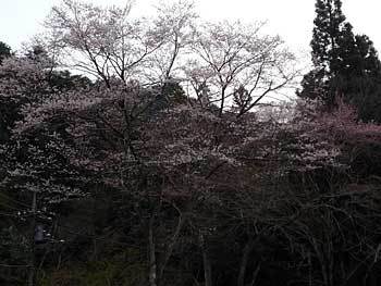 2016takao-21.jpg