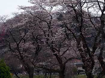 2016takao-37.jpg