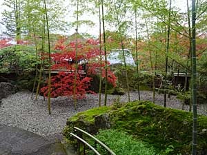 2018hakone33.jpg