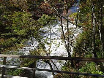 2018nikkou10-12-33.jpg