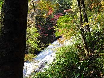 2018nikkou10-12-35.jpg