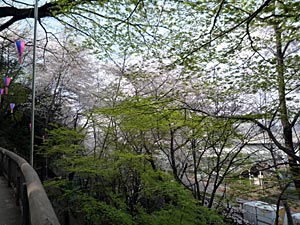 asukayama4.jpg