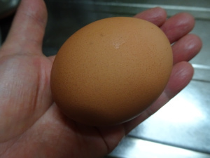egg1.JPG