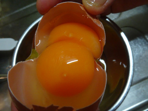 egg2.JPG