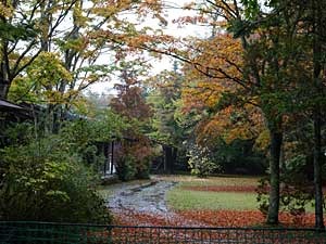 karuizawa2017-10-58.jpg