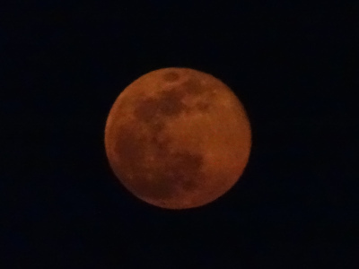 moon.JPG