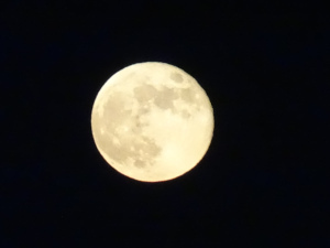 moon7.jpg