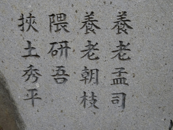 mushizuka6.JPG