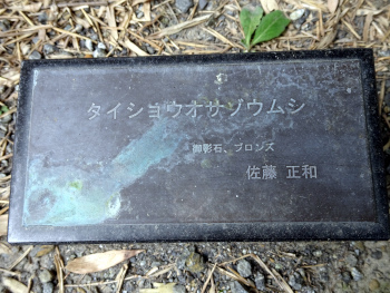 mushizuka9.JPG