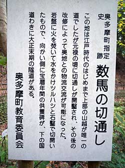 okutama2011-9.jpg