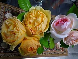 rose2018.jpg
