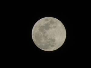 snow moon.JPG
