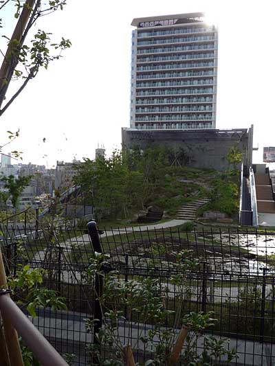teien6.jpg