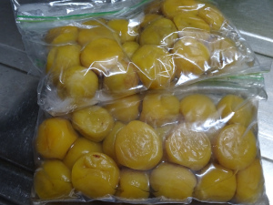 ume3.JPG